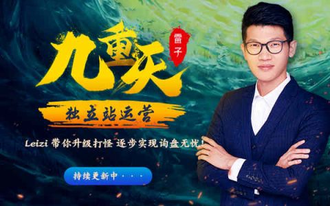 雷子-Leizi獨立站運營一重天到四重天打包